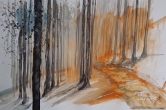aquarel Zwarte Woud