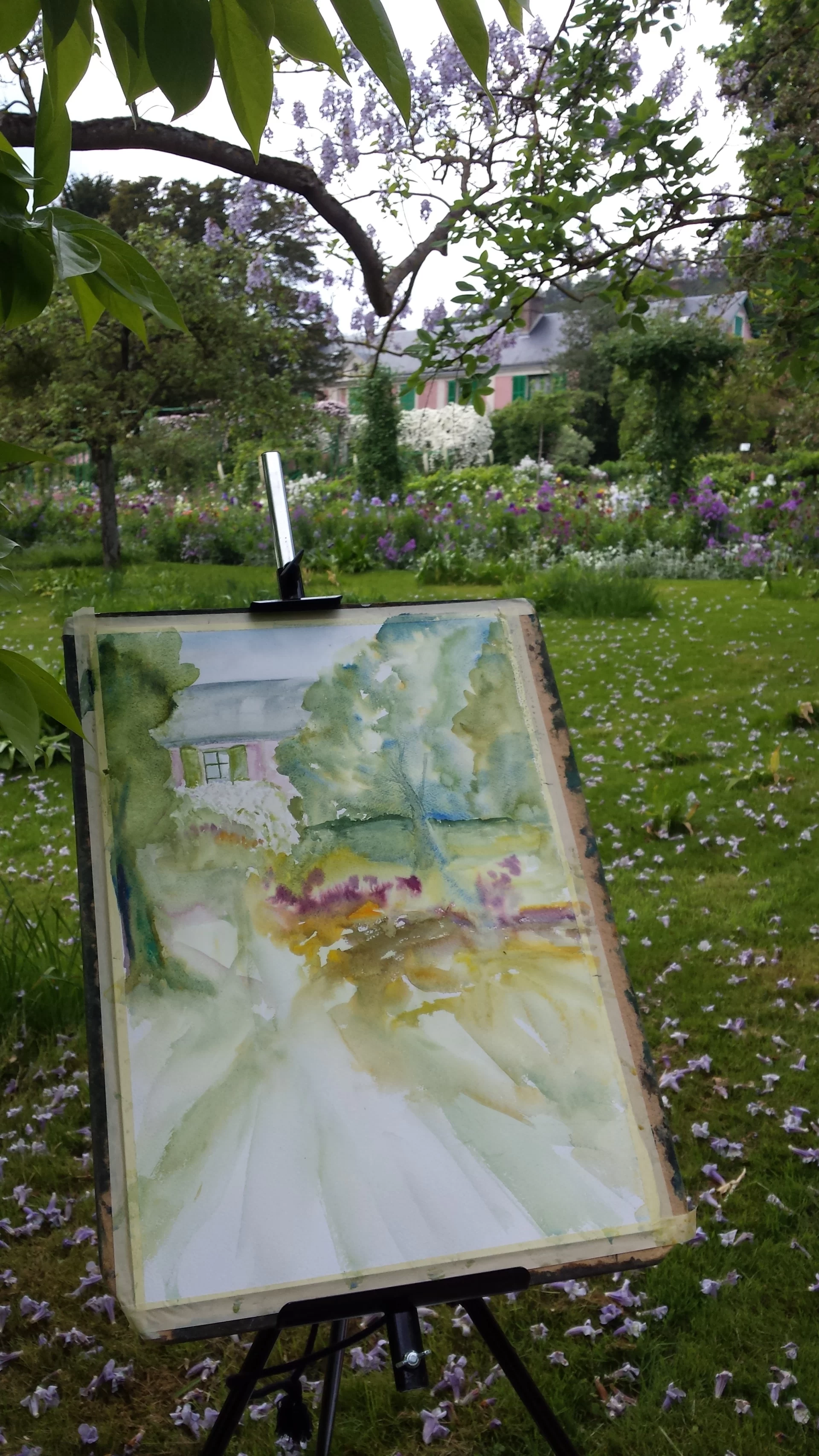 Water color
