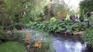 Monet Garden Giverny